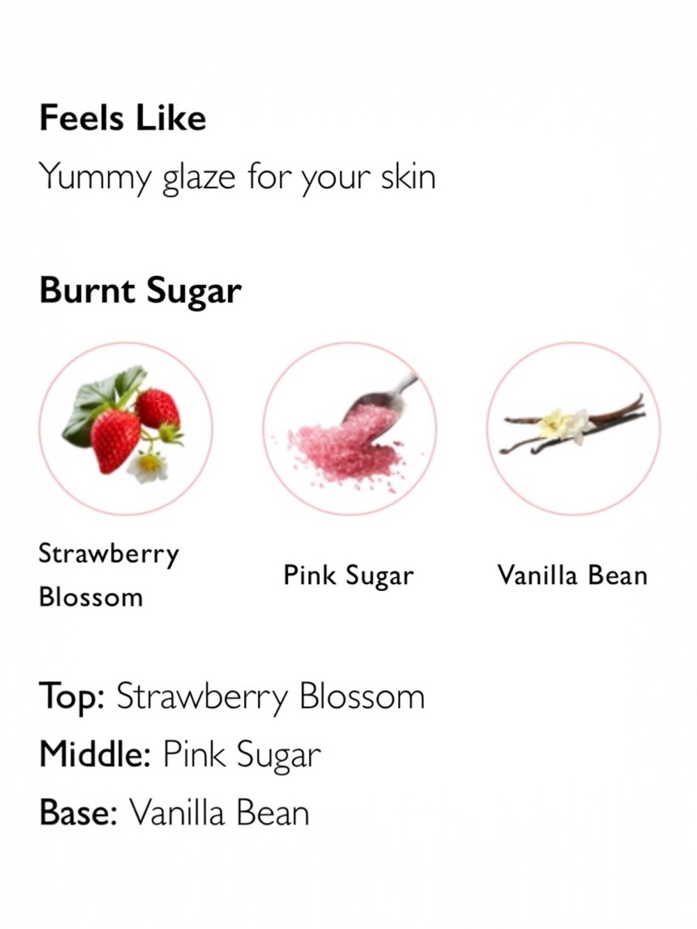 🪷 Spongellé Burnt Sugar Body Wash Infused Buffer: Strawberries & Cream Scent - Picture 4 of 7